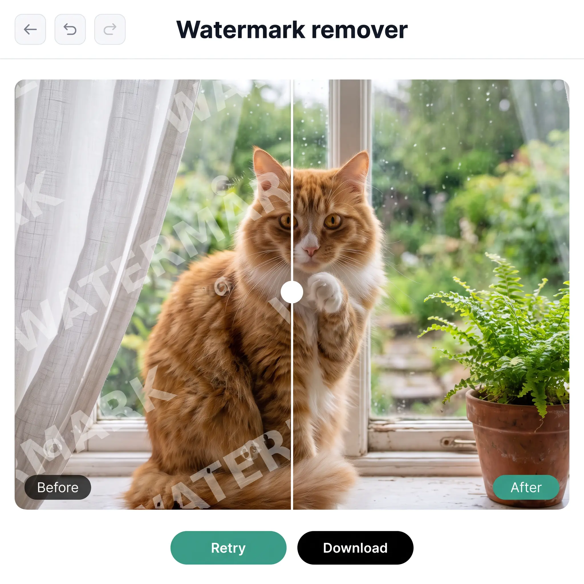 Image Watermark Remover