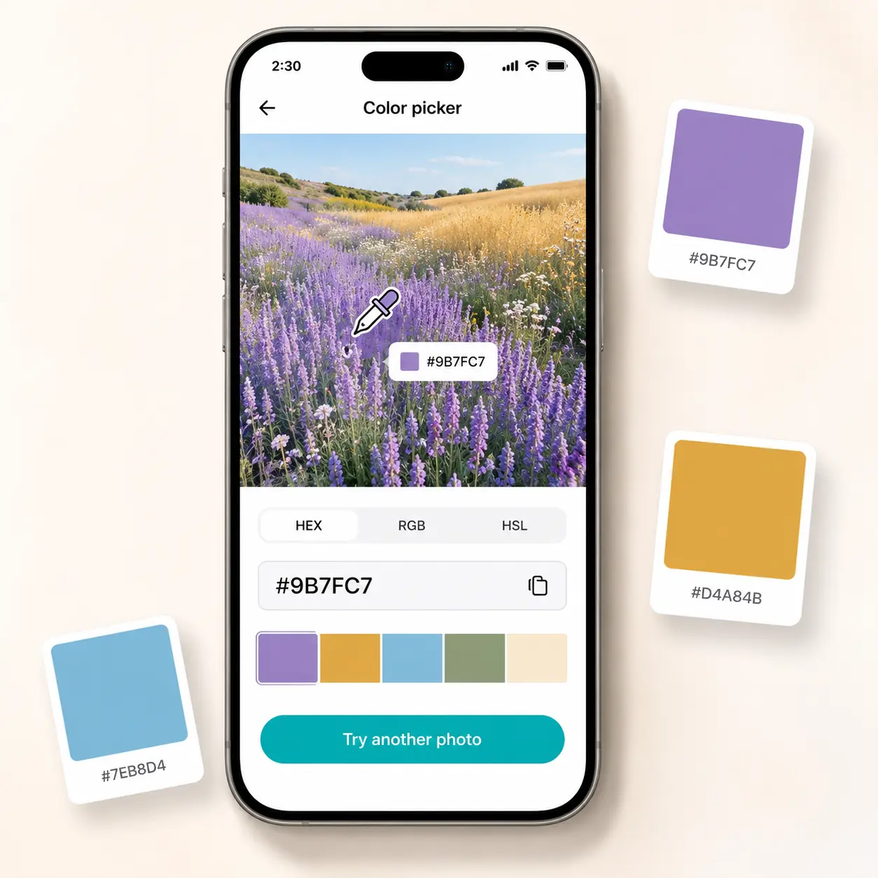 Color palette extracted from a photo with HEX, RGB, and HSL codes