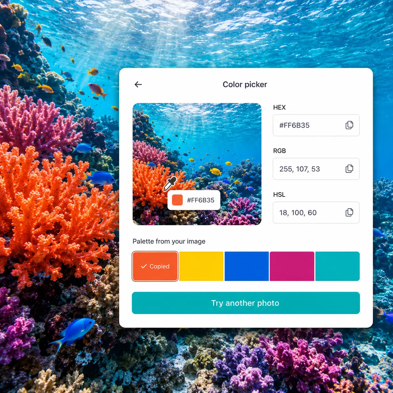 Color Picker from Image