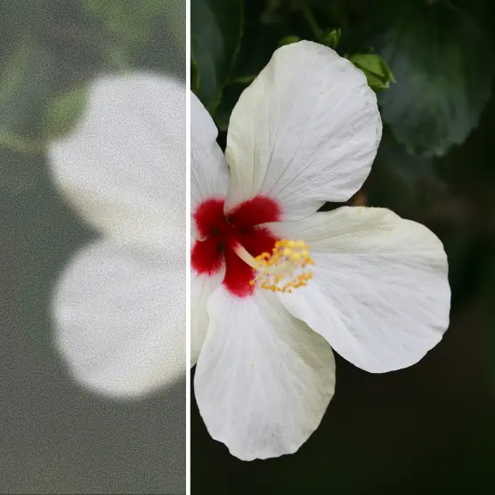 Unblur pictures online free with AI.