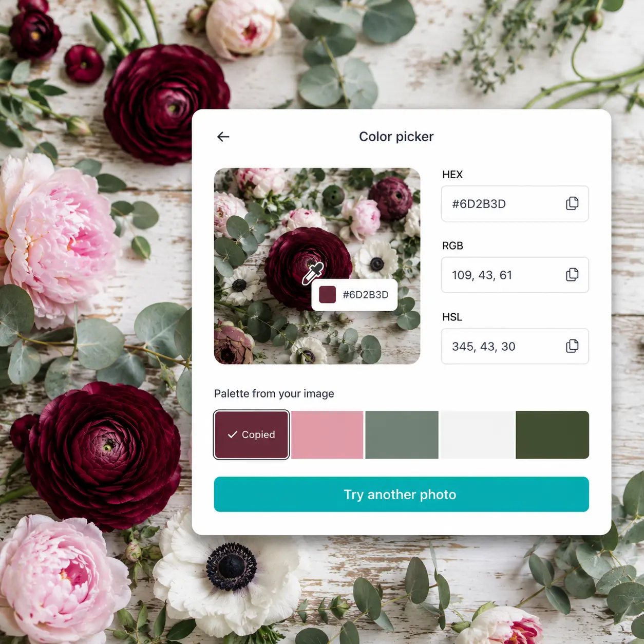 Lift generates a color palette from a flower bouquet image with burgundy, blush, and sage tones Color picker on a ranunculus flower bouquet showing extracted palette with burgundy, pink, sage, and cream tones