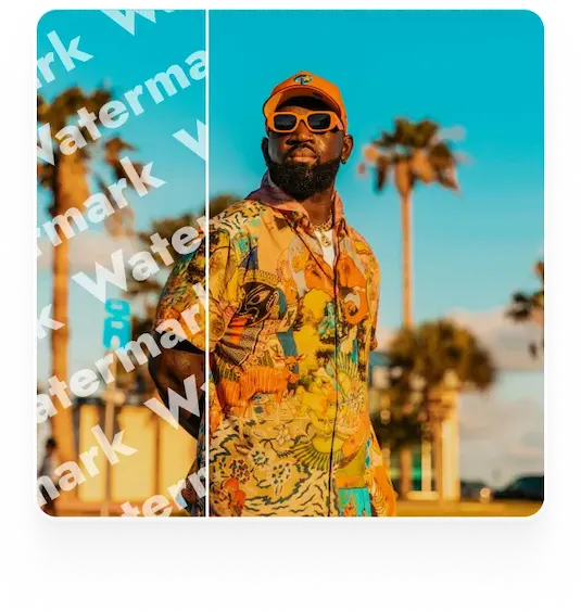 Example of watermark removed