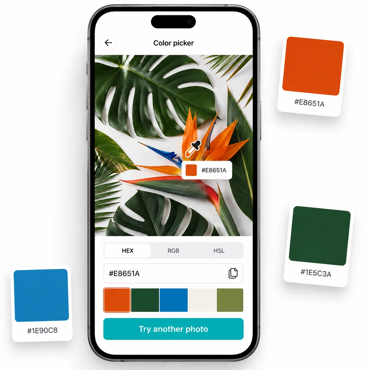 Sélecteur de couleur HEX Lift — vue mobile d'une fleur tropicale avec échantillons HEX flottants Téléphone mobile affichant le sélecteur de couleur Lift sur une photo d'oiseau de paradis avec puces de couleur HEX extraites