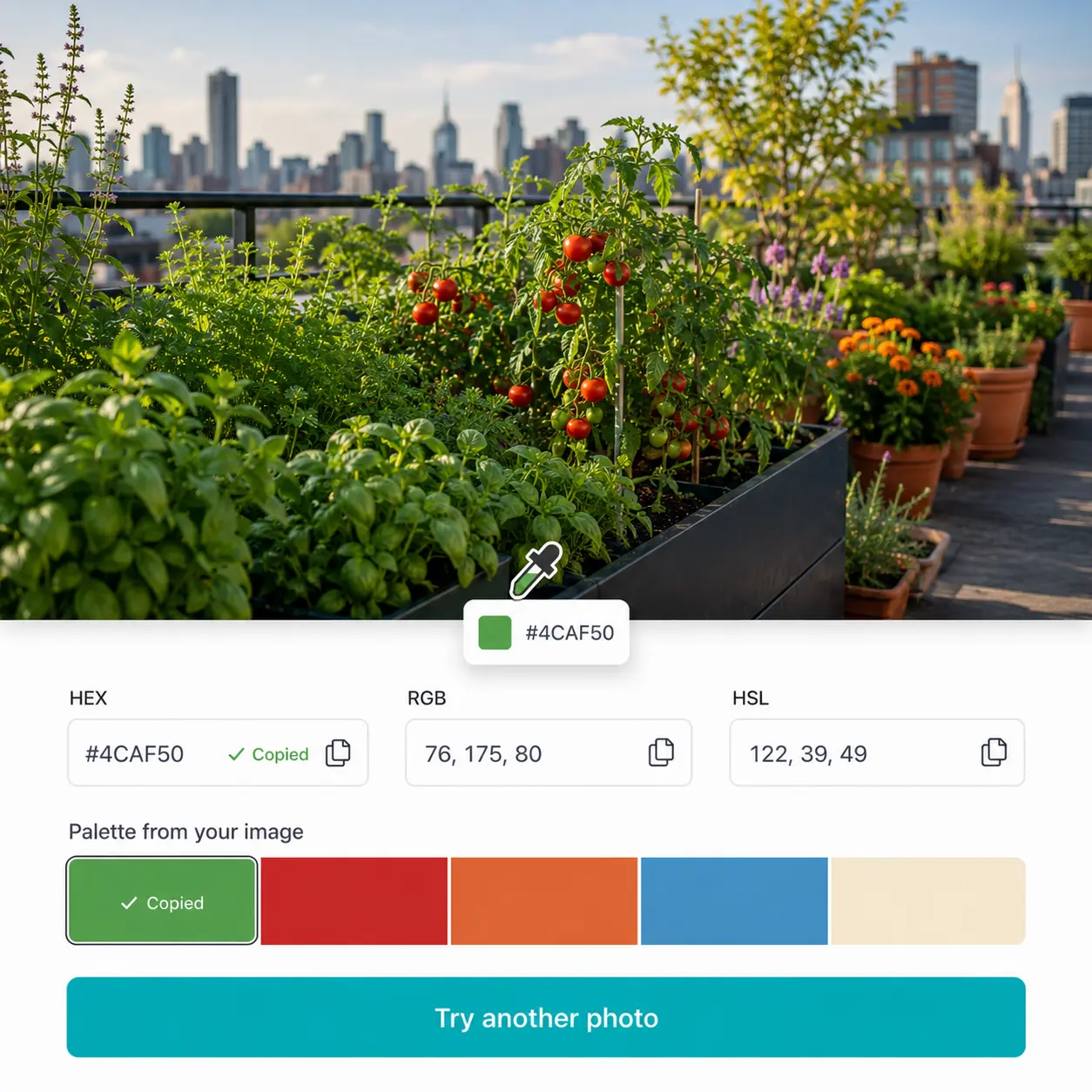 Sélecteur de couleur HEX Lift sur une photo de jardin sur toit montrant les codes HEX, RGB et HSL Jardin potager sur toit avec ligne d'horizon urbaine montrant le sélecteur de couleur Lift avec code HEX et palette auto-générée