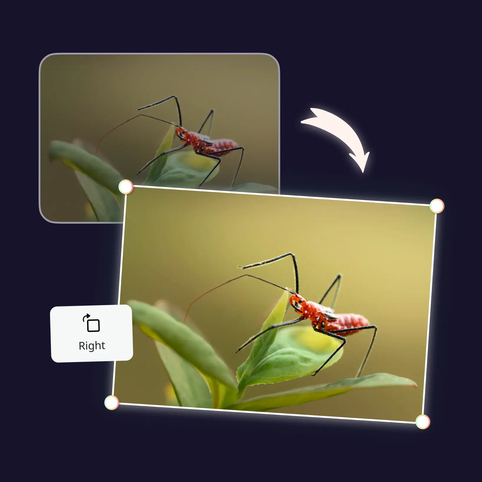 Step-by-step guide to rotate photo online using Lift image rotator