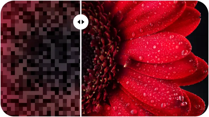 Pixelated vs enhanced flower close-up