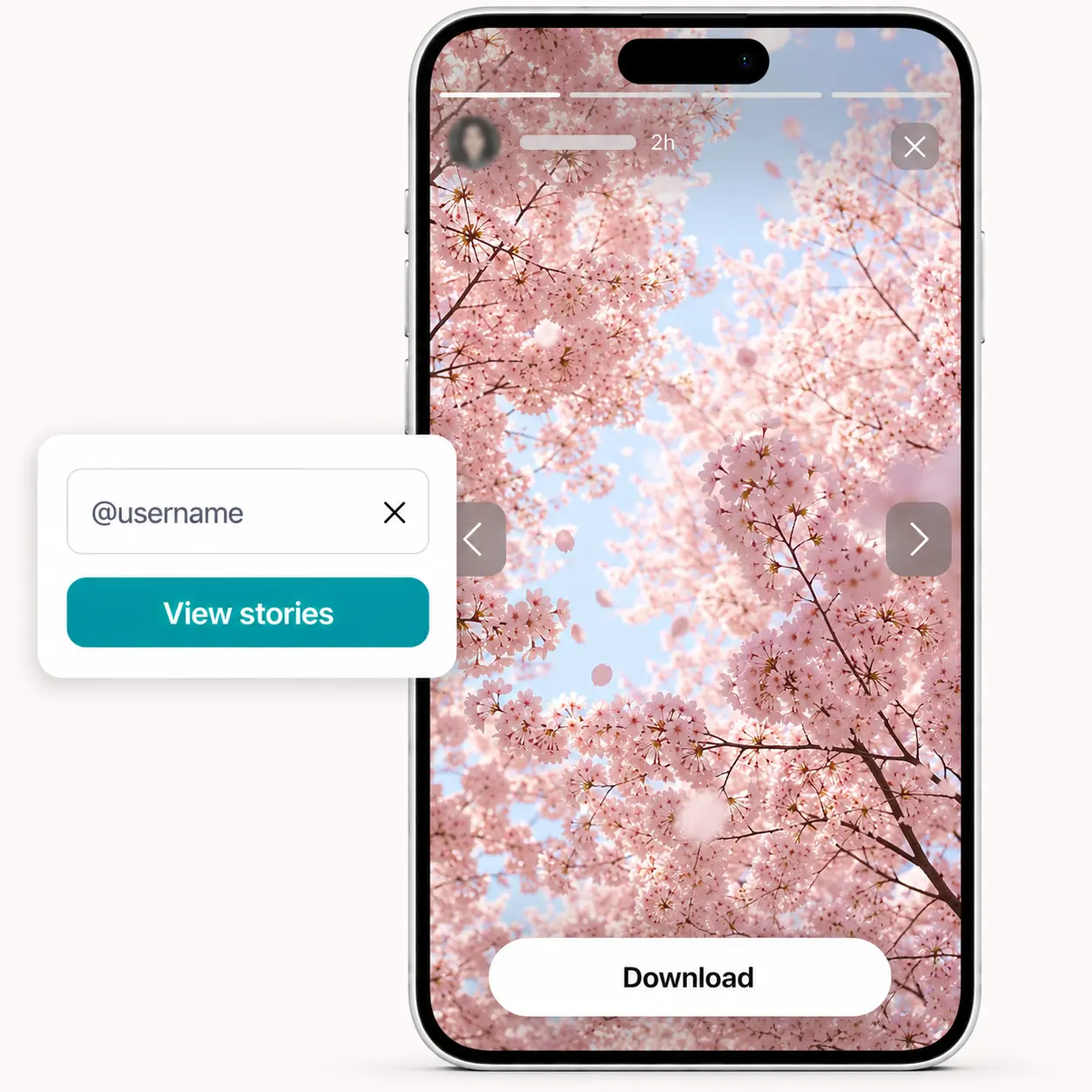 Mobile phone playing a cherry blossom story from Instagram in fullscreen mode with navigation arrows and download.